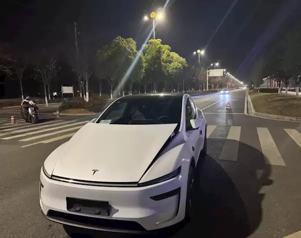 特斯拉Model Y提车不到5小时被狗“吓坏”!车主:修车花了1.7万