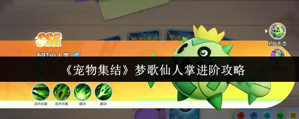 《宠物集结》梦歌仙人掌进阶攻略