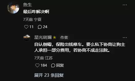 特斯拉Model Y提车不到5小时被狗“吓坏”!车主:修车花了1.7万