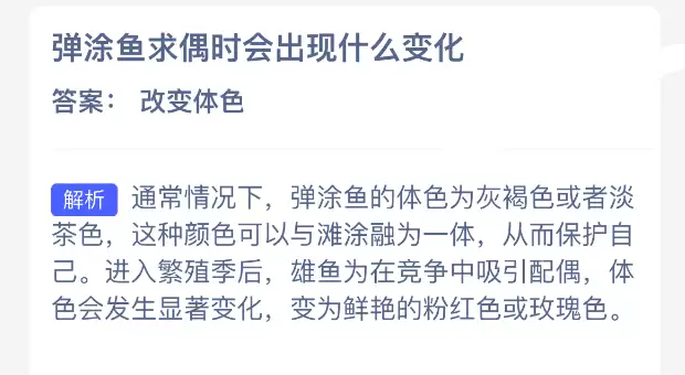 弹涂鱼求偶时会出现什么变化