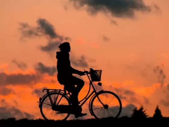 上门教骑自行车生意走红!武汉大哥用共享单车授课2小时收350元