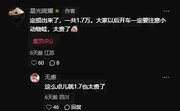 特斯拉Model Y提车不到5小时被狗“吓坏”!车主:修车花了1.7万