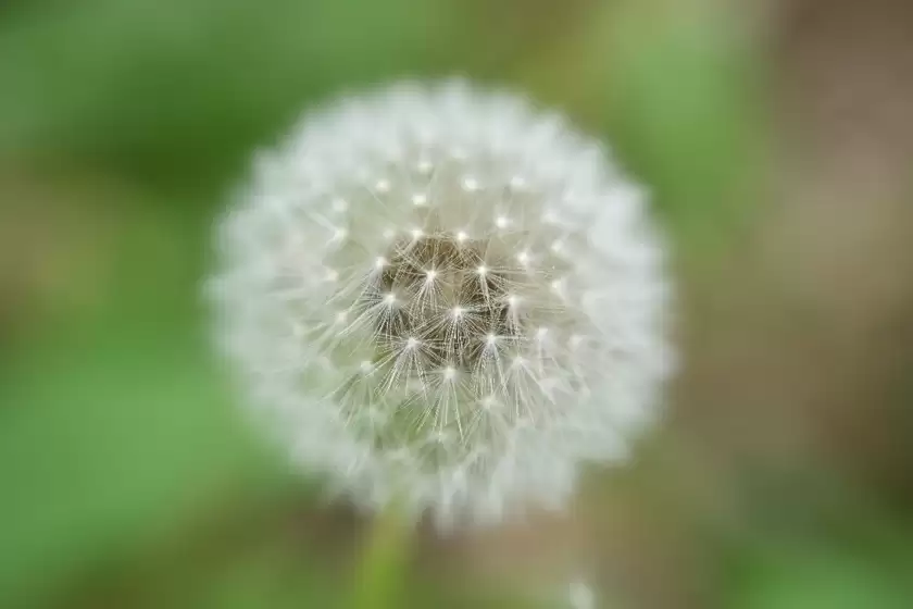 兼顾大光圈与轻量化的长焦变焦镜头 尼康 Z 70-180mm f/2.8今日开售