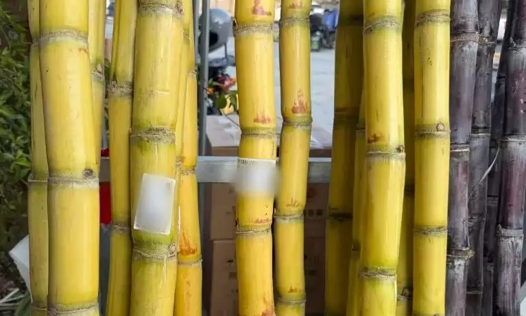 \ 微信图片_20260214162608_70_4534_副本_副本.jpg