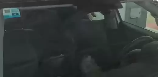 尴尬！男子驾车返乡竟被猫咪锁在车外：结局竟神反转