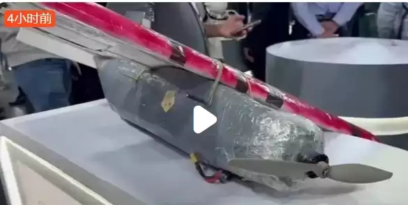 荒诞至极！印度大学展出泡沫塑料无人机被赶出峰会