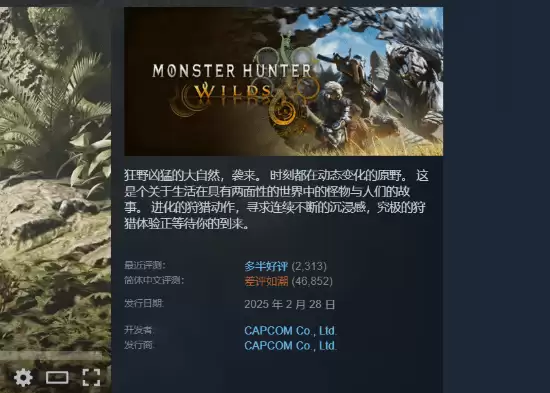 怪物猎人：荒野周年更新引好评，Steam近期评测升至多半好评