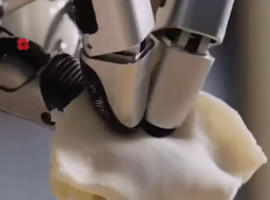 北京春晚机器人首秀包饺子:21自由度机械臂创指纹级精度