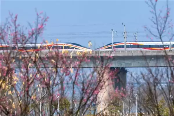 铁路12306已累计发售春运火车票超3.1亿张 返程客流高峰开启