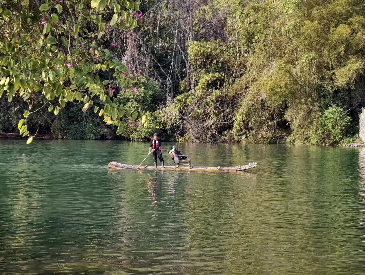 8d127865a6c8293ec77e0d58a4240dd6