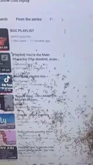 台式显示器惊现密集小虫引热议，专家解析成因与防治