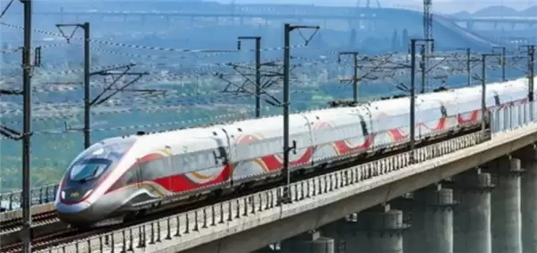 列车因超员滞留半小时!广播喊话无票人员下车:12306回应