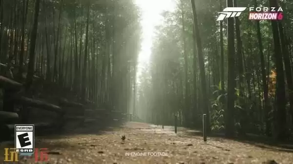 《极限竞速地平线6》环境场景展示：樱花道山丘环境超美