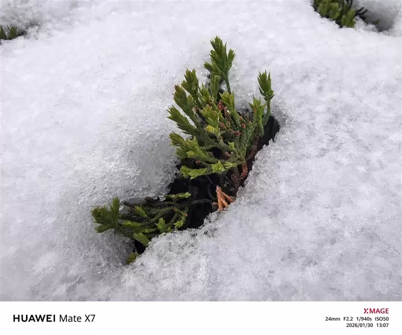 左手 AI右手大屏!华为Mate X7典藏版体验评测:鸿蒙OS 6.0加持 不仅是折叠更是掌上工作站