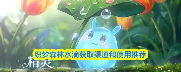 织梦森林水滴获取渠道和使用推荐