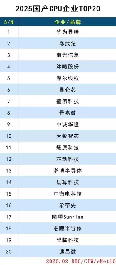 2025国产GPU企业TOP20