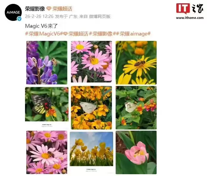 荣耀Magic V6折叠屏新机拍摄样张公布，AiMAGE影像加持