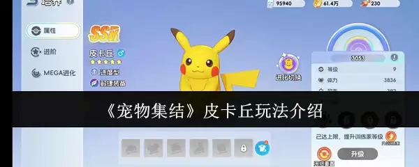 《宠物集结》皮卡丘玩法介绍