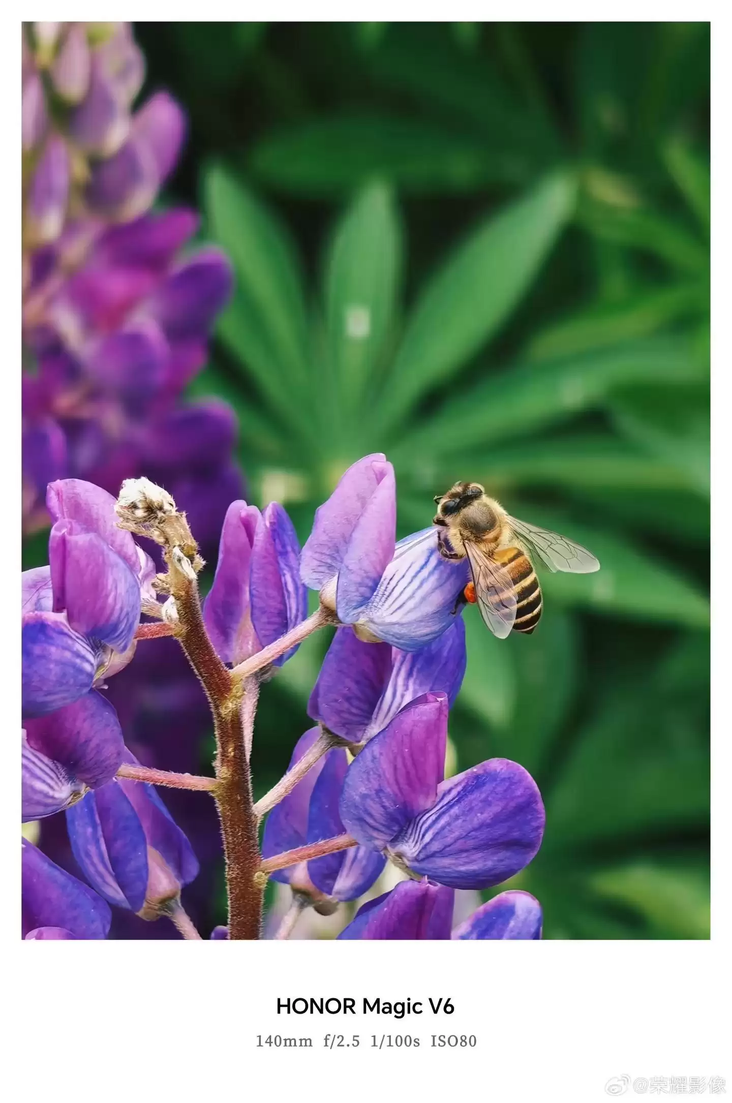 荣耀Magic V6折叠屏新机拍摄样张公布，AiMAGE影像加持