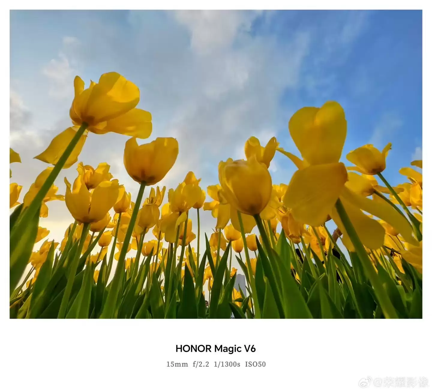 荣耀Magic V6折叠屏新机拍摄样张公布，AiMAGE影像加持