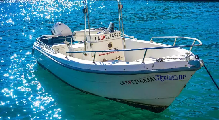 刘强东放话：希望造出售价10万元游艇，像汽车一样，让普通家庭也能用得起