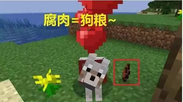 我的世界腐肉有什么用2026