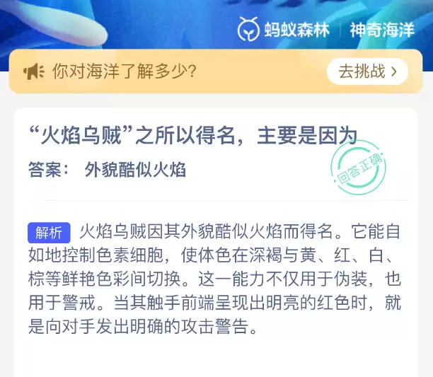 火焰乌贼之所以得名主要是因为