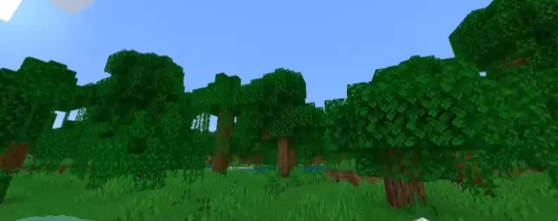 我的世界丛林神殿种子是什么2026