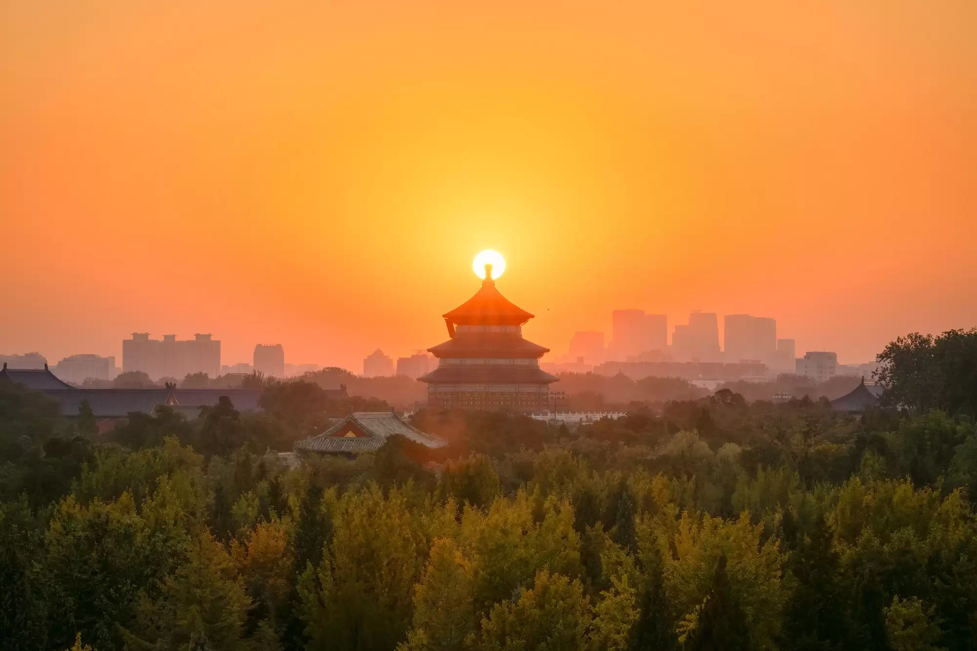 尼康 ZR 拍照画质怎么样