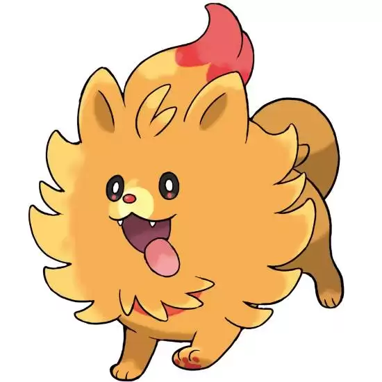 宝可梦:风/波正式公布,2027年全球发售,三款新御三家与交响主题曲亮相