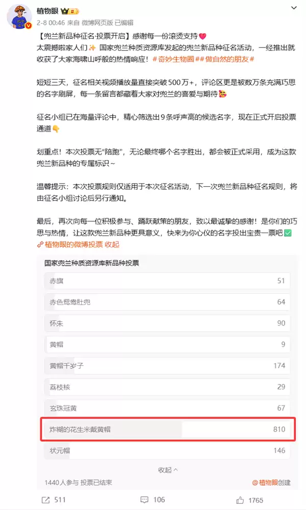 专家委托给新品种兜兰征名 “炸糊的花生米戴黄帽”高居第一