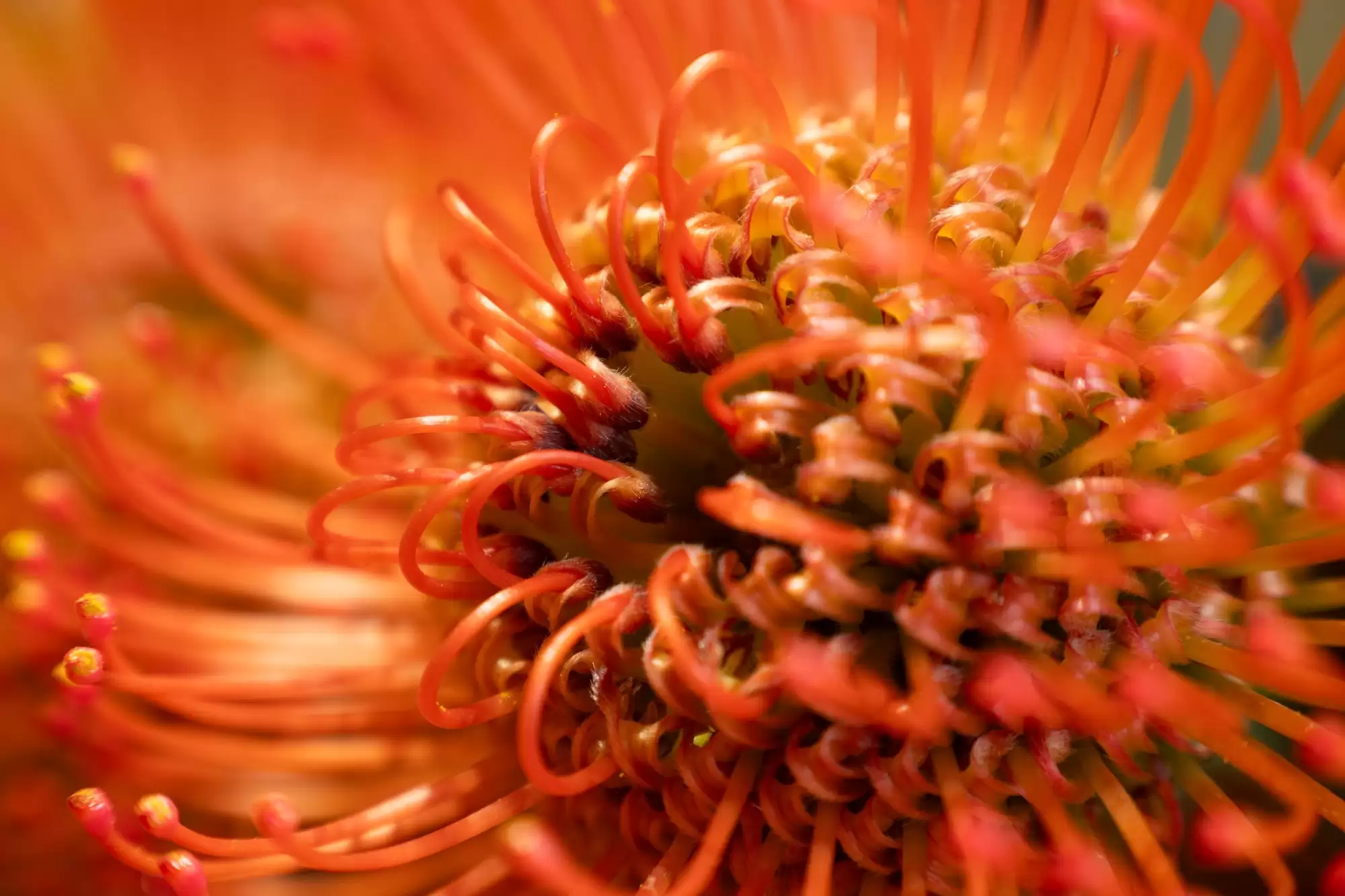 尼克尔 Z 24-105mm f/4-7.1 画质怎么样