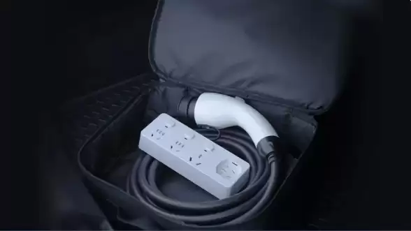 459元!比亚迪充放电枪上线:充放一体 自动切换