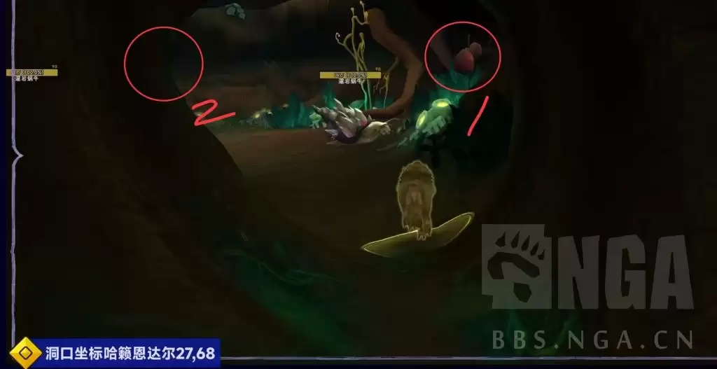 魔兽世界活水的叶绿犀龙怎么获得