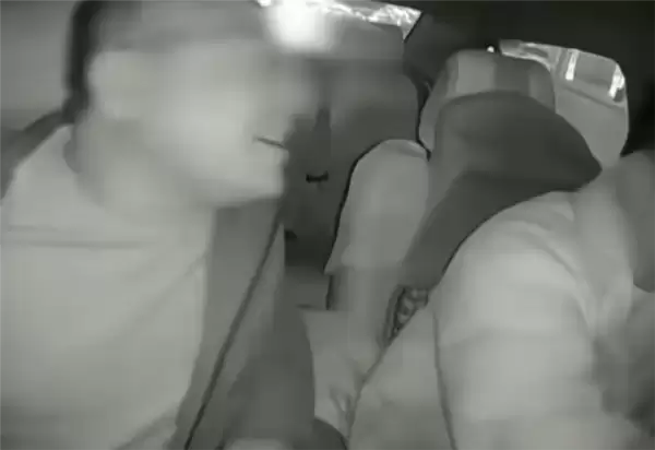 酒后闹事！甘肃一男子抢夺方向盘致出租车撞树：跳车逃跑后被控制