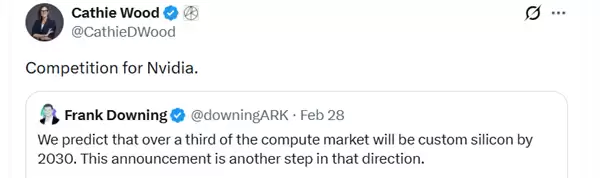 别只盯着英伟达了！ARK预测：定制芯片才是未来的大玩家