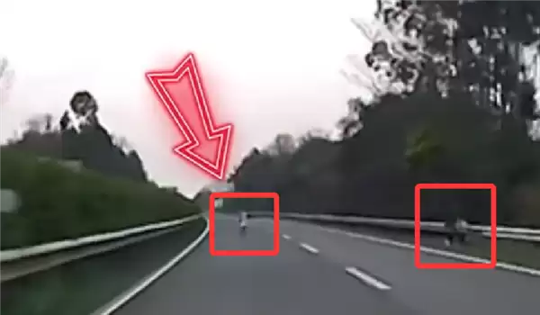 高速开车遇小孩突然横穿 司机回应:还有3个小孩 他们像在玩游戏