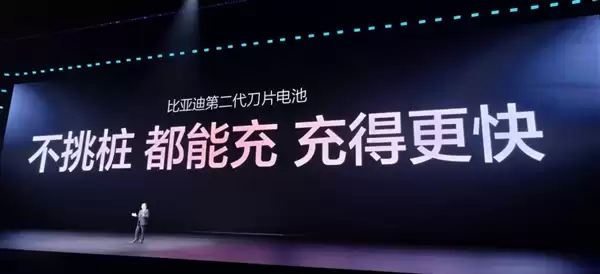 -20℃极寒不打折不!比亚第-代刀片池车实测:最快仅需分29