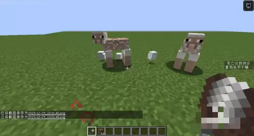 我的世界羊毛毯怎么做2026