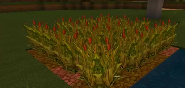 2026迷你世界鸡蛋怎么获得