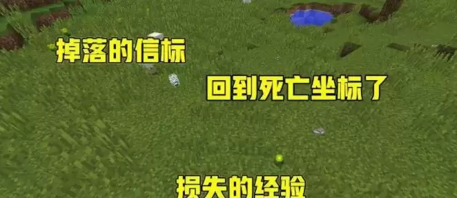 我的世界传送到上一次死亡地点的指令是什么2026