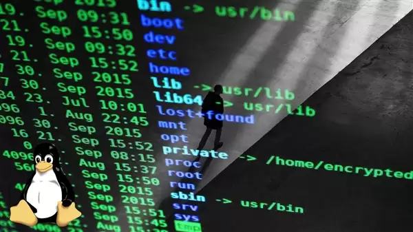 AMD副总裁完全用AI写了个显卡驱动!但和你想的不太一样