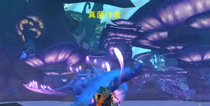 魔兽世界拉好仇恨放着我来完成攻略