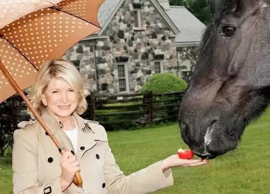 年龄不是问题!84岁单身女星玛莎·斯图尔特:我仍是优质伴侣