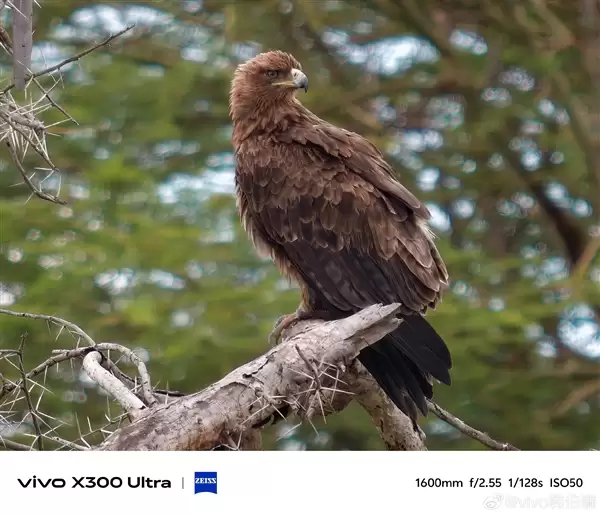 vivo全新增距镜揭晓：大炮400等效400mm！行业最高倍率