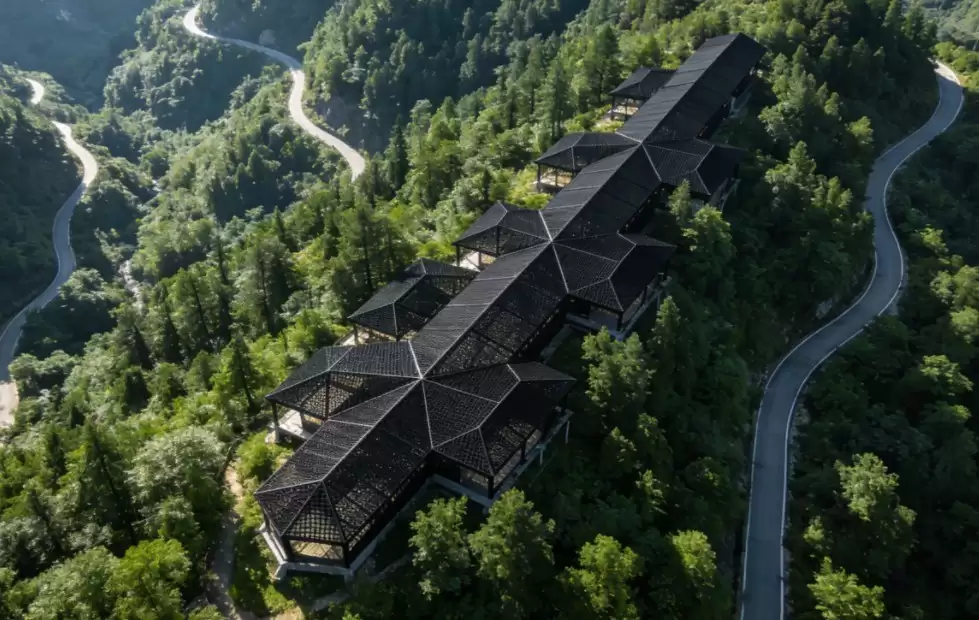 芝素堂以全链透明管控夯实灵芝孢子油品质 用务实合规筑牢消费者信任