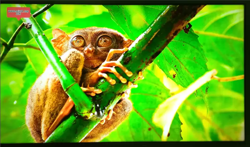 OLED时代终结者!RGB-Mini LED电视海信E8S评测:这才是好画质