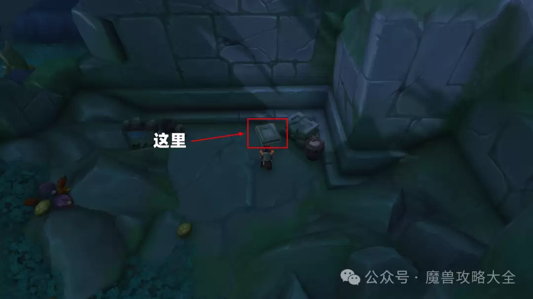 魔兽世界12.0祖阿曼区域在哪