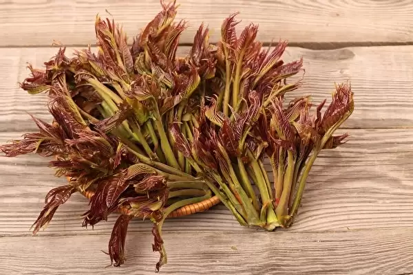 一村种植的香椿被胖东来包圆!有村民一天收入2000元