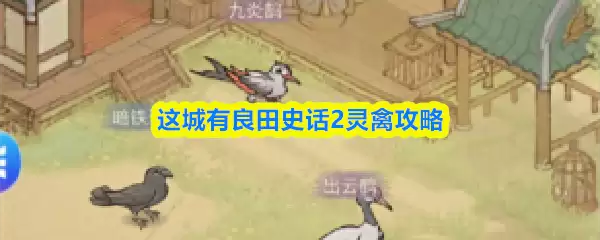 这城有良田史记2灵禽攻略